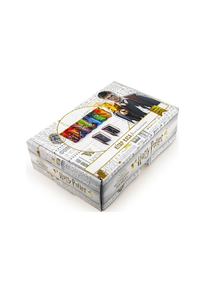 Kitap Görünümlü Gizli Kasa Tüm Modeller Harry Potter