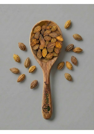 İxirciyusuf Sarı Halile Halile Yellow Myrobalan Terminalia Bellirica Doğal Tane 100 G
