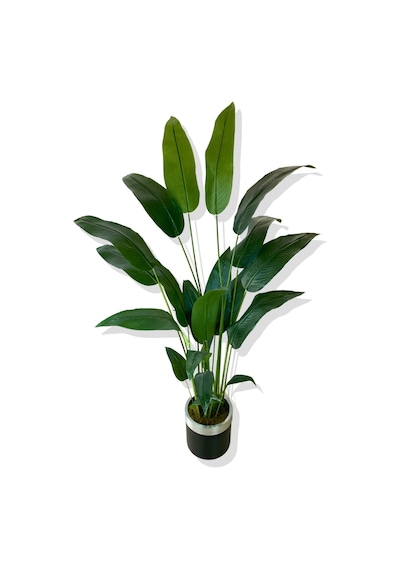Cihan Çiçekçilik Starliçe 24 Yaprak 190 Cm Yapay Ağaç 30x30 Gümüş Kemerli Saksı Beyaz- Yeşil