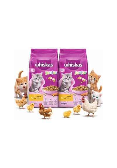 Whiskas Junior Tavuklu Yavru Kedi Maması 300 Gr 2 Adet