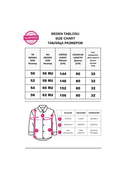 Büyük Beden Düğmeli Kısa Kol Yakalı Nakış Detaylı Kadın Gömlek Mavi