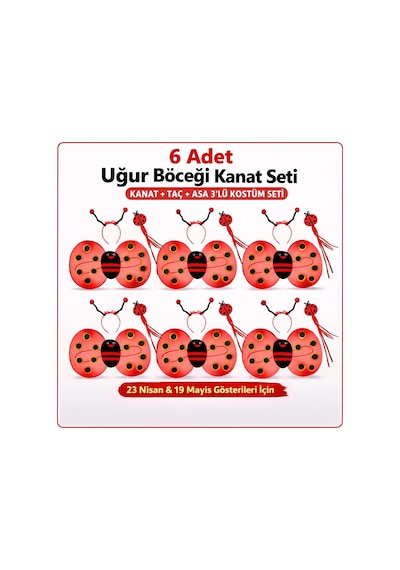 639lı Uğur Böceği Kostüm Seti Kanat Taç Asa
