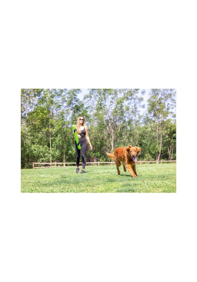 Sniff Fetch Stick Kokulu Köpek Oyuncağı Fıstık Ezmesi Aromalı