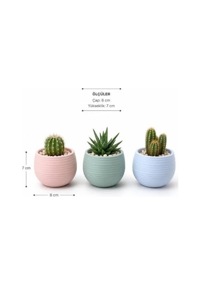 Dekoratif İskandinav Mini Saksı Seti, 8x7 Cm, Pembe, Plastik, Kaktüs Ve Sukulent Bitkiler İçin, 3'lü Diğer