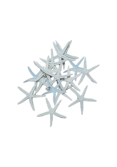 Tahtakaletoptanci Polyester Deniz Yıldızı Simli Beyaz 6 Cm (12 Adet)