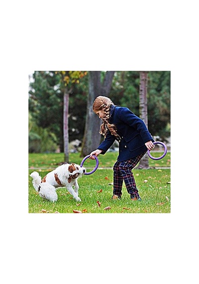 İnteraktif Köpek Oyuncağı 2 Halka Set Eğlenceli Oyun