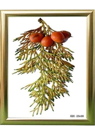 Ayrex Hediyelik Çerçeve Ev Home Ofis Kişiye Özel Resim Çerçevesi Masaüstü 25x30 25x30-lam22-gümüş