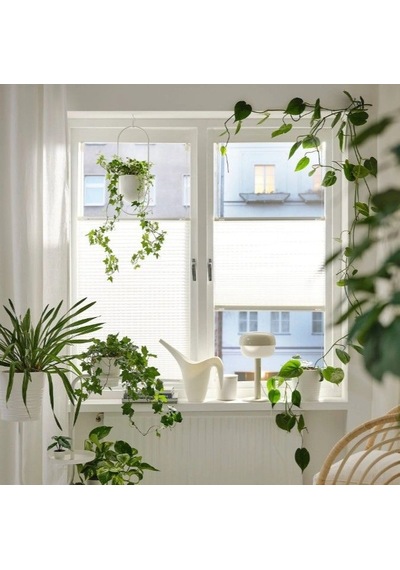 Ikea Hornvallmo Stor Perde 60 X 130 Cm Beyaz