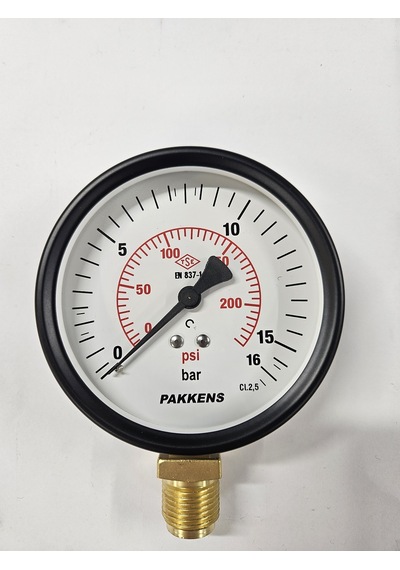 Çap 100 ALTtan 16 Bar Kuru Manometre - Pakkens
