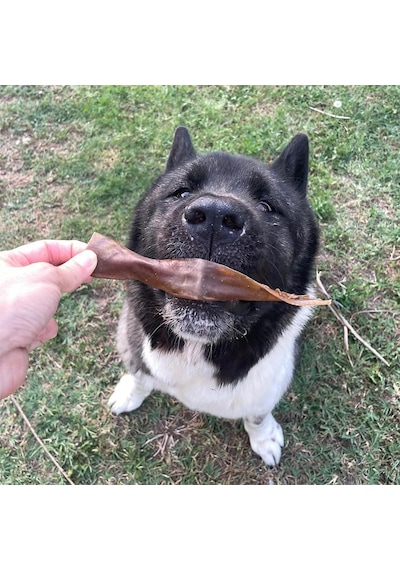Kito Kurutulmuş Dana Kelle Derisi Çiğnemelik Köpek Ödül Maması%100 Doğal, Glutensiz, Organik 100 Gr Dog Treat