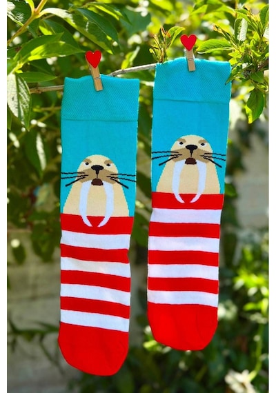 Lousocks Unisex Deniz Aslanı Desenli Renkli Soket Çorap Turkuaz