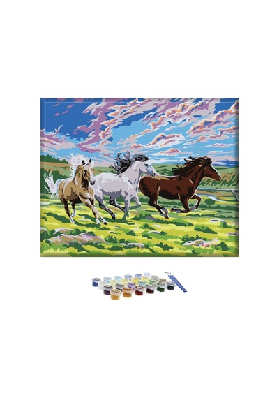 Sayılarla Boyama Seti 40x50 Cm