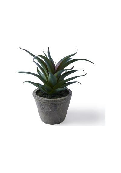 Yargıcı Yapay Bitki Sukulent 20x21 Cm 26knha1100t St