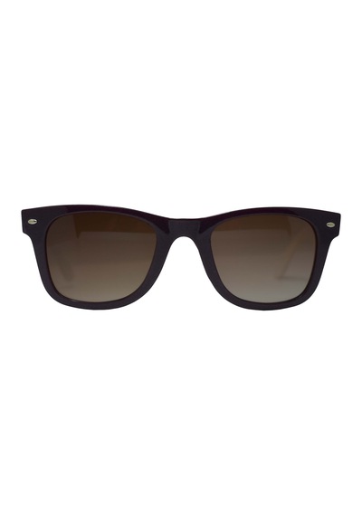 Swing Swing Güneş Gözlüğü Ss101 C2013