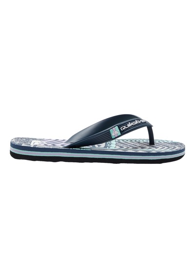 Quiksilver Molokaı Art Youth Renkli Renkli Çok Renkli