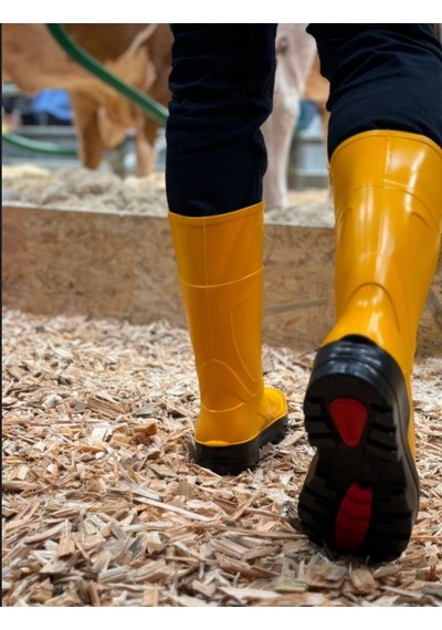 Techno Boots Poliüretan Soğuğa Dayanıklı Kısa Çelik Burunlu Sarı Çizme Sarı