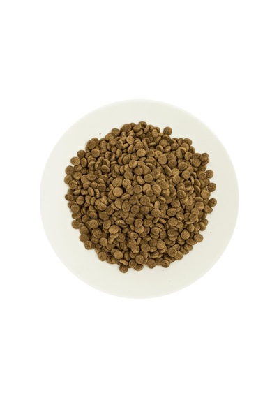 Pro 33, Kısırlaştırılmış Kediler İçin, Hipoalerjenik, Somon Balıklı Ve Karidesli Kuru Mama, 2 Kg