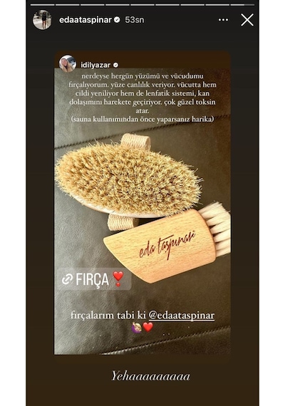 Eda Taşpınar Doğal At Kılı Fırçası