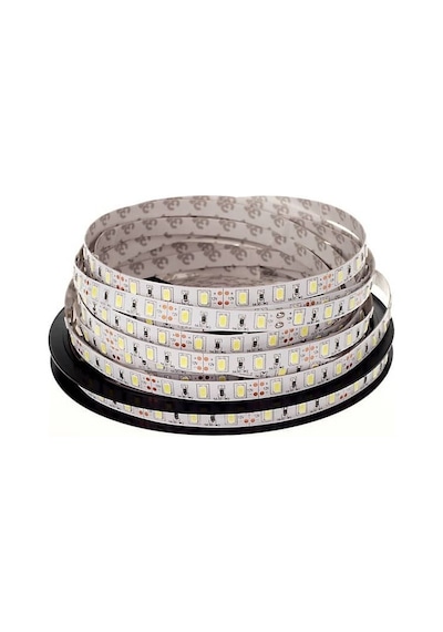 Lamptime Şerit Led Mavi İç Mekan 114009 5 Metre