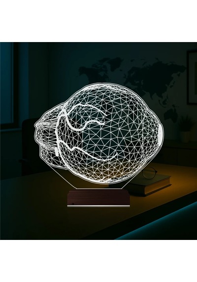 Luvivia Göz Doktoru Hediye 3d Lamba - Masa Gece Lambası Şeffaf