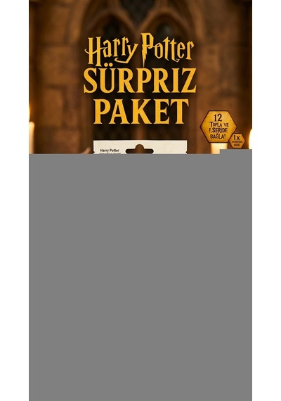 Harry Potter Sürpriz Figür Oyuncak Koleksiyon Kutusu