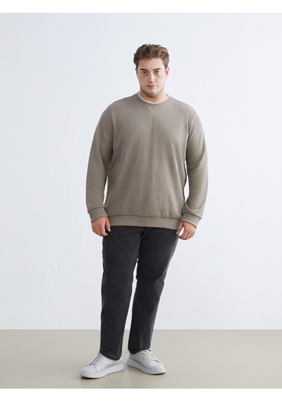 Lcwaıkıkı Classic Kahverengi Büyük Beden Bisiklet Yaka Erkek Sweatshirt