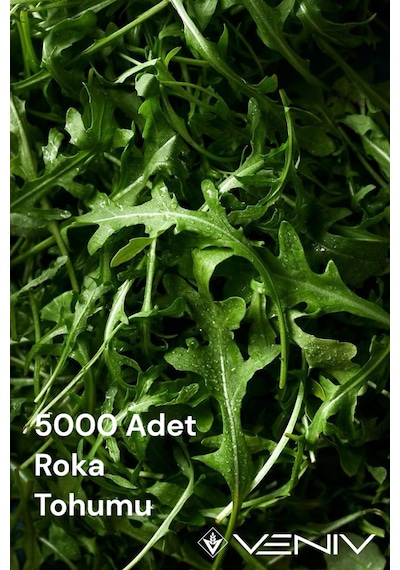 5000 Adet Roka Tohumu 2 Paket 2