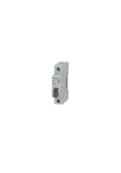 Schneider Şarj İstasyonu Otomat Sigortası 7,4 Kw