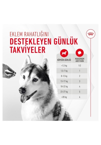 Joint&ageing Chews Eklem Ve Sağlıklı Yaşlanmayı Destekleyen Tamamlayıcı Ödül Maması 240g