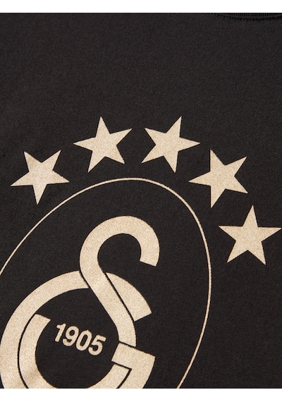Gsstore Galatasaray 5 Yıldız Çocuk T-shirt C251352-1 SIYAH