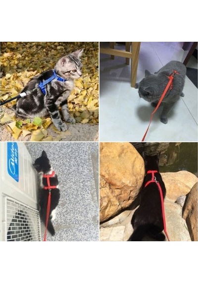 Ayarlanabilir Renkli Kedi Göğüs Tasması 120cm