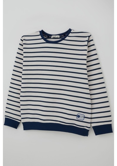 Breeze Erkek Çocuk Sweatshirt Arma Detaylı 4-10 Yaş, Beyaz