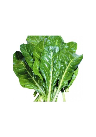 Pazı Tohumu 500 Adet N114405