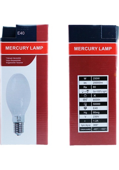 Mercury 250W 230V 3600K E40 Elips Cıva Buharlı Ampul