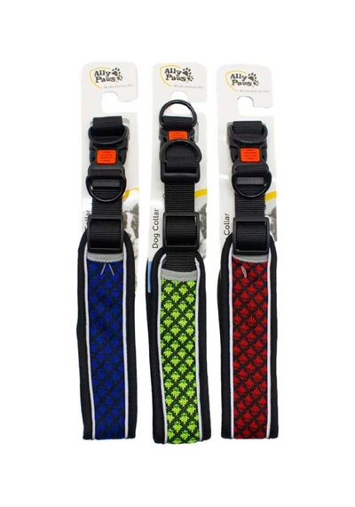 Ally Paws Köpek Tasma L Boy 2,5 Cm 40-60 Cm Boyun Çapı Çok Renkli