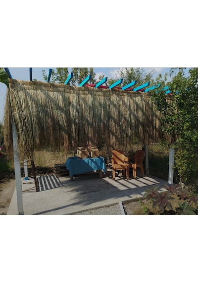 Saçak Otu Püskül Otu Dekoratif Ot Çin Otu Yerden Yükseklik 1,20 Metre X Uzunluk 2 Metre