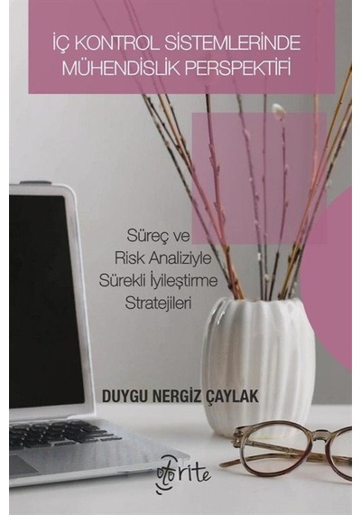 İç Kontrol Sistemlerinde Mühendislik Perspektifi / Duygu Nergi...
