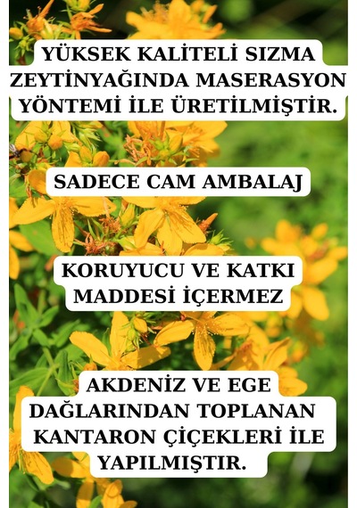 Kantaron Seti - Kantaron Kremi 50 Ml Ve Kantaron Yağı 100 Ml 20 ML