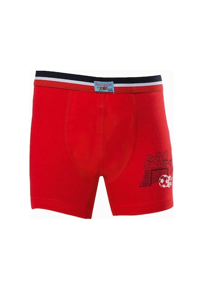 Namaldı 321 Erkek Çocuk Likralı Boxer KARIŞIK RENK