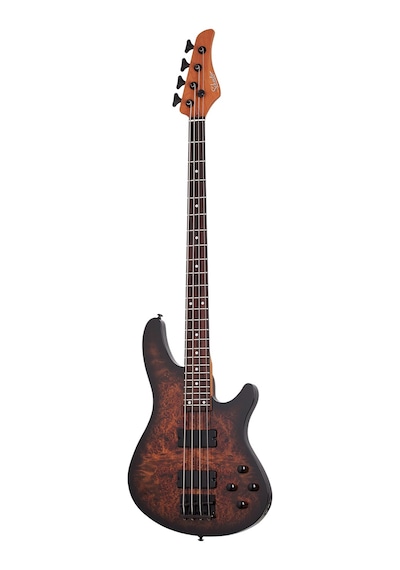 Schecter C-4 Standard Bas Gitar Tobacco Burl