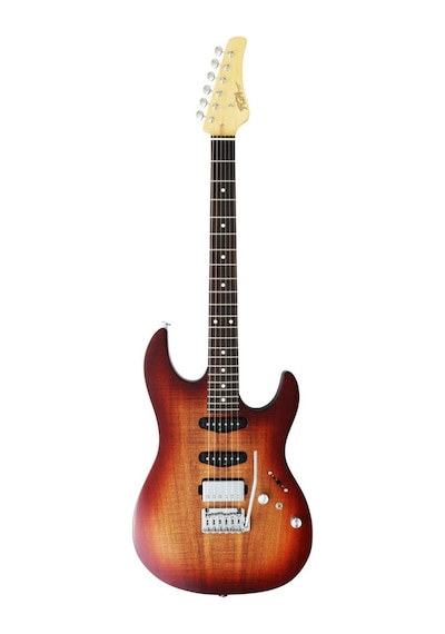 Fujigen Odyssey Elektro Gitar Jos2duew2r/knb