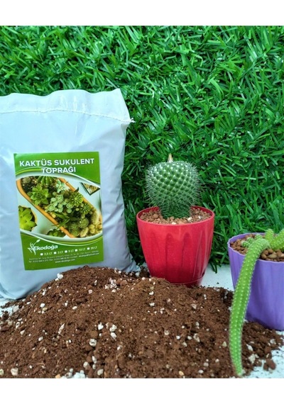 Kaktüs Toprağı 10 Lt Sukulent Toprağı Aloe Vera Toprağı Ithal Torf Pomza Perlit Vermikulit Karışımı Diğer