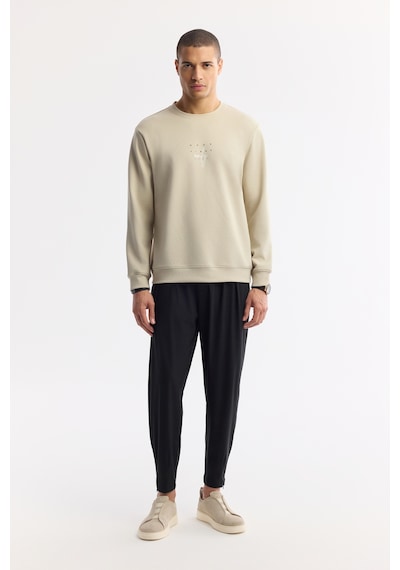 Avva Erkek Taş Bisiklet Yaka Baskılı Bi-stretch İnterlok Regular Fit Sweatshirt A51y1235