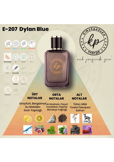 KP E-207 Erkek Parfüm EDP 50 ML