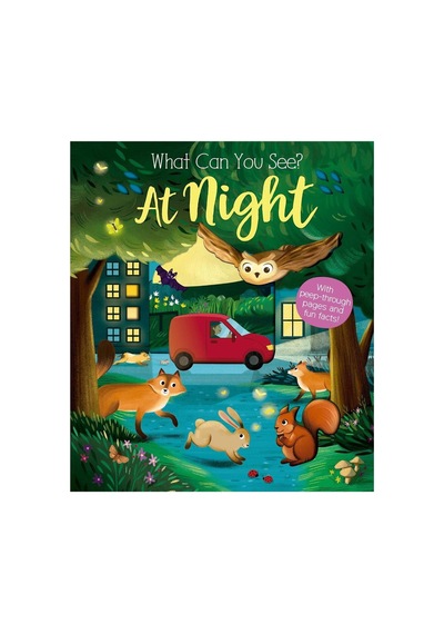 What Can You See At Night New Edition
