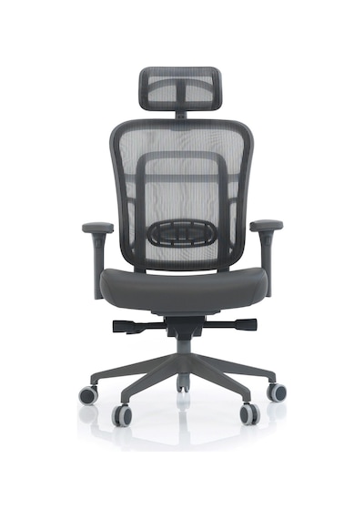 Passion Çalışma Oyuncu Ofis Yönetici Makam Koltuğu