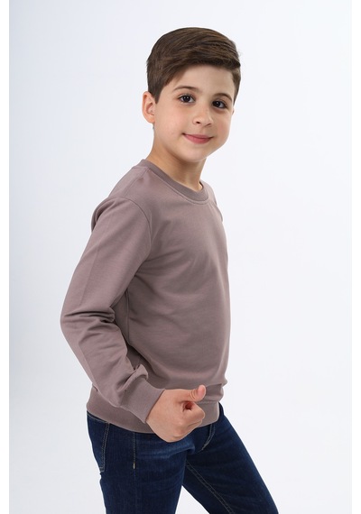 Toontoy Erkek Çocuk Baskılı Sweatshirt Acı Kahverengi