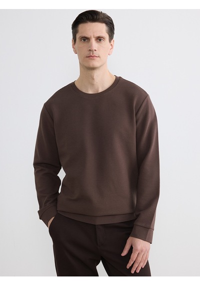 Lcw Eco Kahverengi Bisiklet Yaka Uzun Kollu Fitilli Erkek Sweatshirt