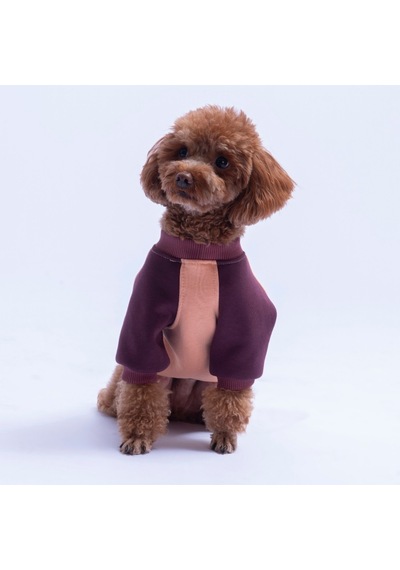 Somon Boston Pawstar Sweat Köpek Sweatshirt Köpek Sweat Köpek Kıyafeti Kedi Kıyafeti Somon Boston Pawstar Sweat Köpek Sweatshirt Köpek Sweat Köpek Kıyafeti Kedi Kıyafeti