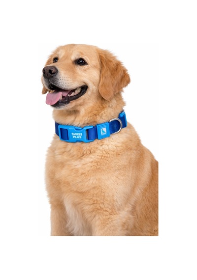 Swissplus Urban Paws Köpek Tasması Deep Ocean Blue Ayarlanabilir, Dayanıklı, Hafif-15mm Mavi